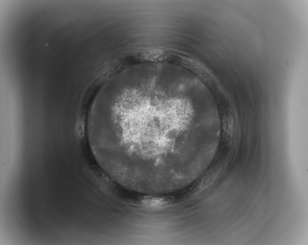 X0000103220602200809181505