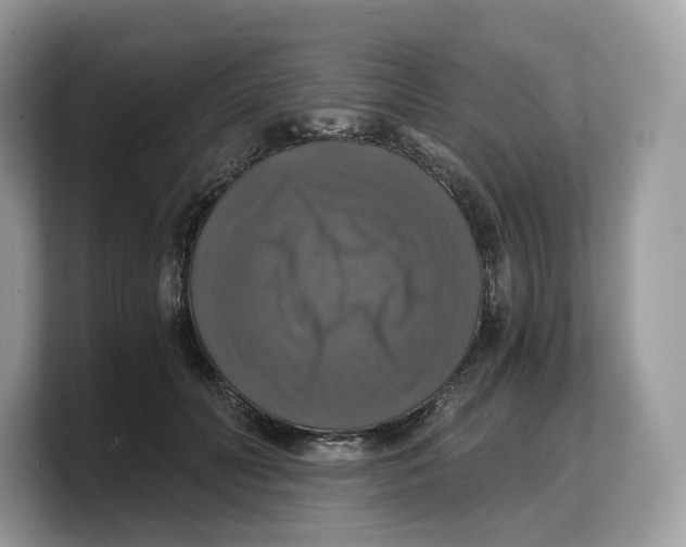 X0000103220606200809181505