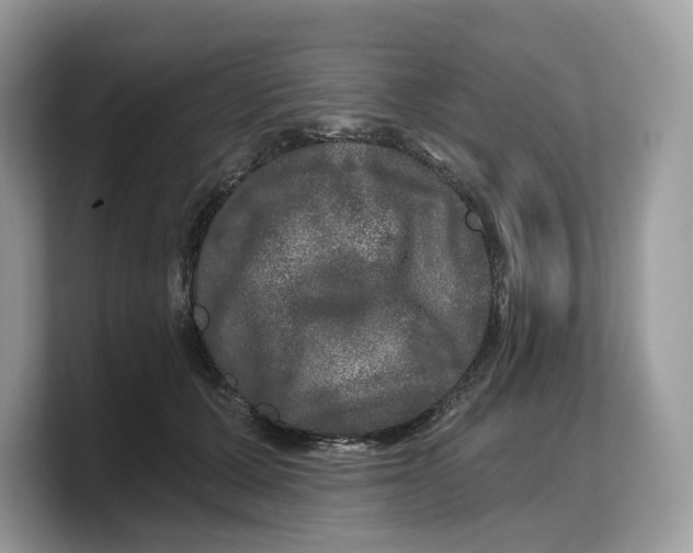 X0000103220607200809181505