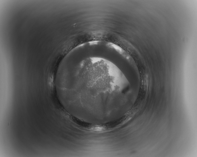 X0000103220610200809181505