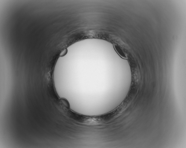 X0000103220611200809181505