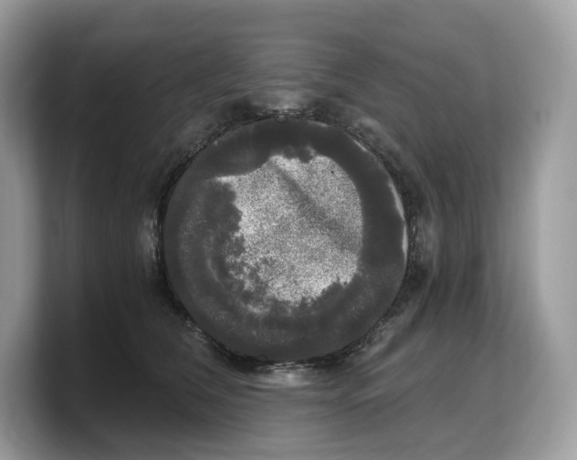 X0000103220612200809181505