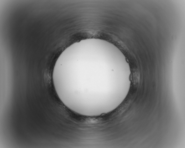 X0000103220613200809181505