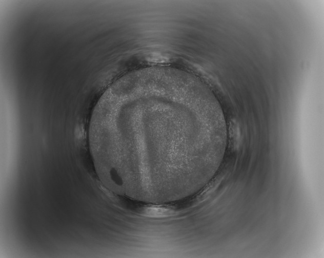 X0000103220614200809181505