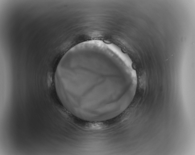 X0000103220618200809181505