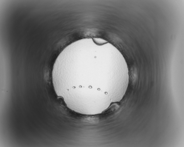 X0000103220619200809181505