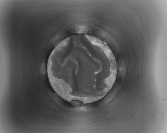 X0000103220620200809181505