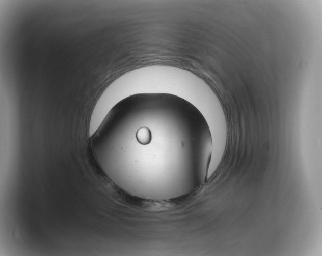 X0000103220621200809181505