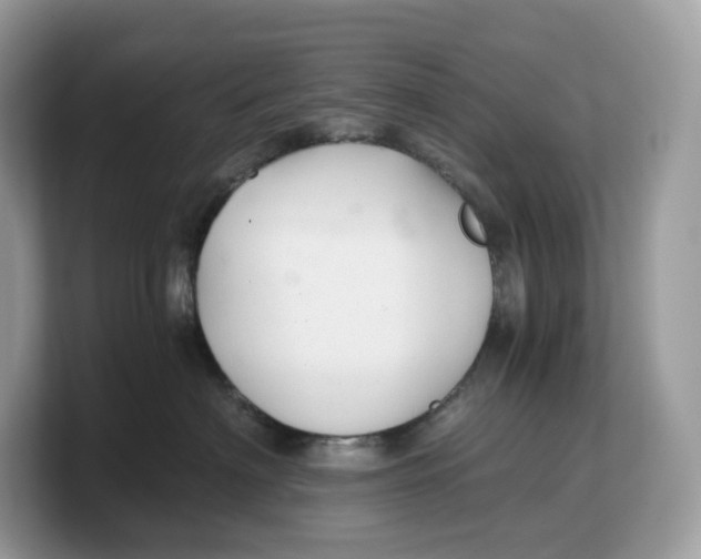 X0000103220622200809181505