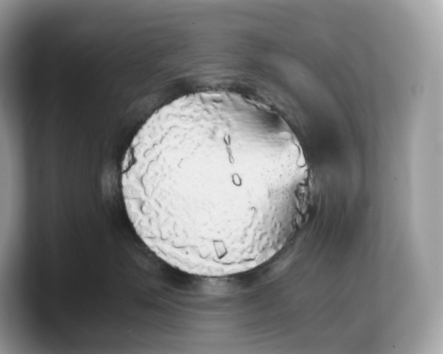 X0000103220623200809181505