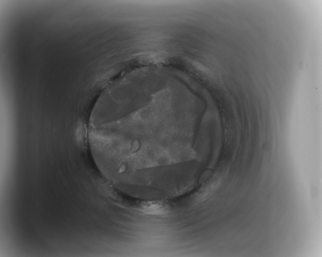 X0000103220624200809181505