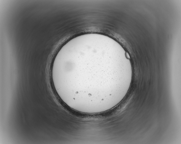 X0000103220625200809181504