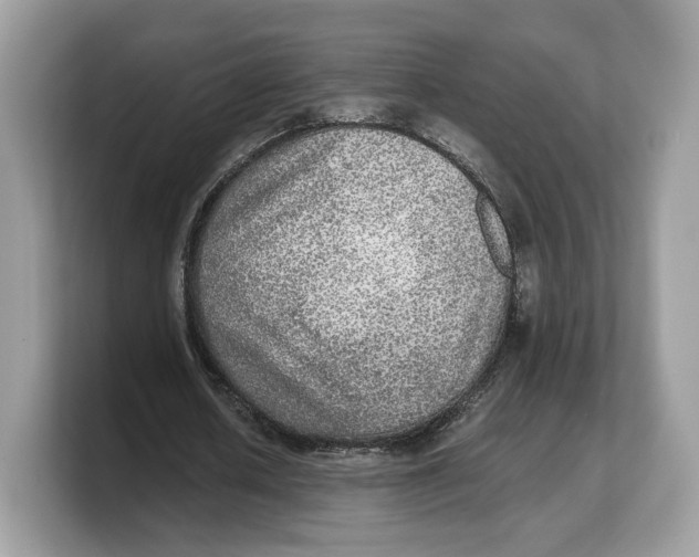 X0000103220626200809181504