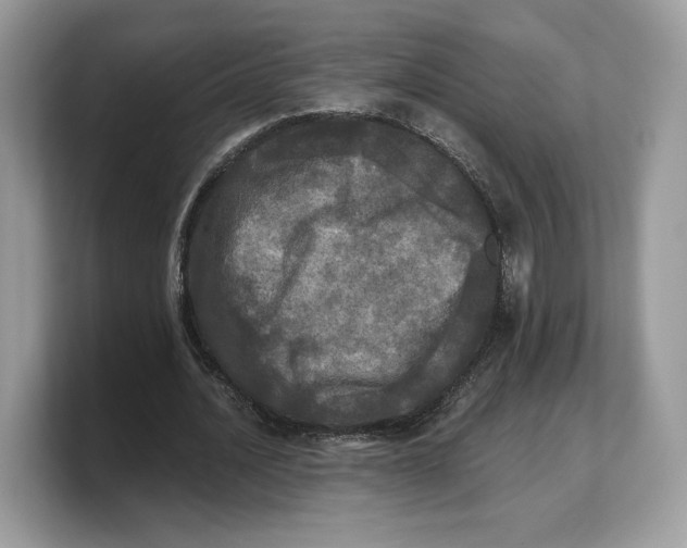 X0000103220628200809181504