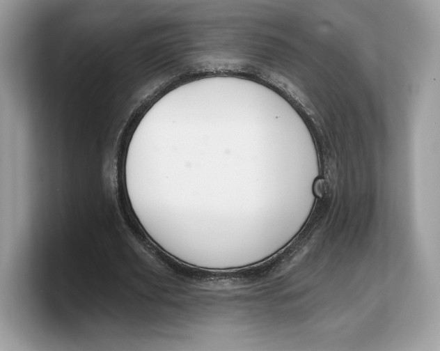 X0000103220629200809181504