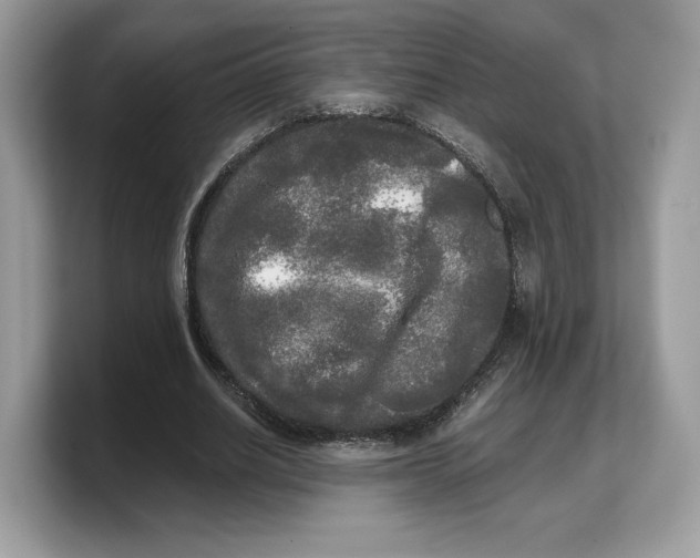 X0000103220630200809181504