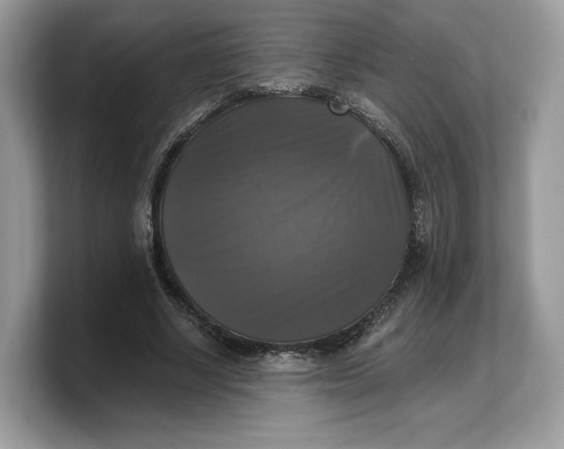 X0000103220634200809181504