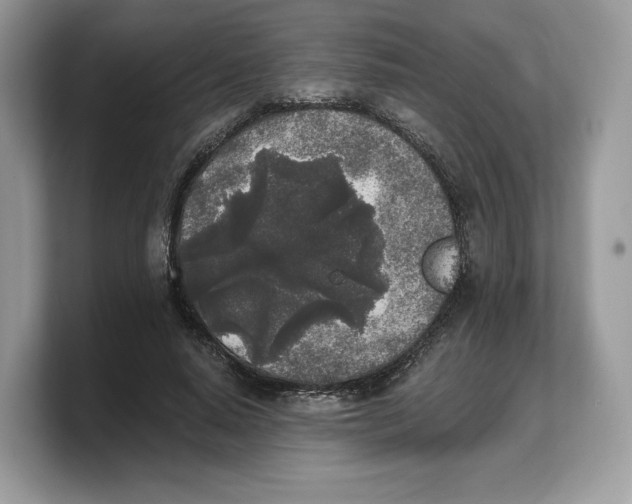 X0000103220640200809181504