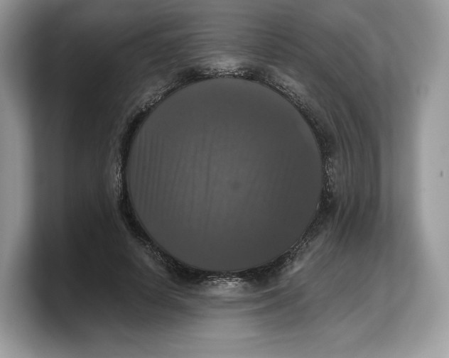 X0000103220642200809181504