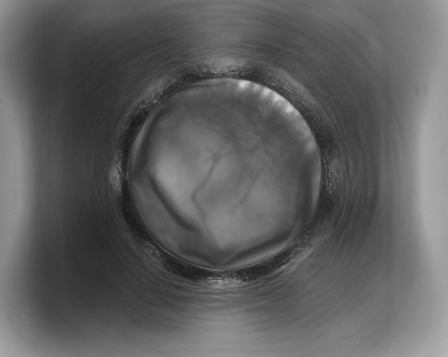 X0000103220644200809181504