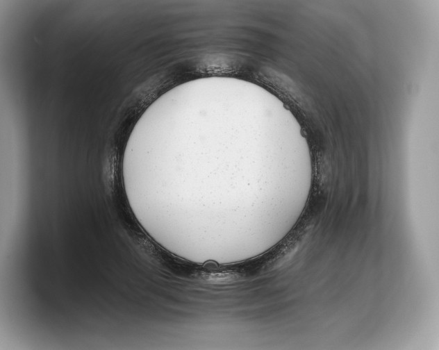 X0000103220645200809181504