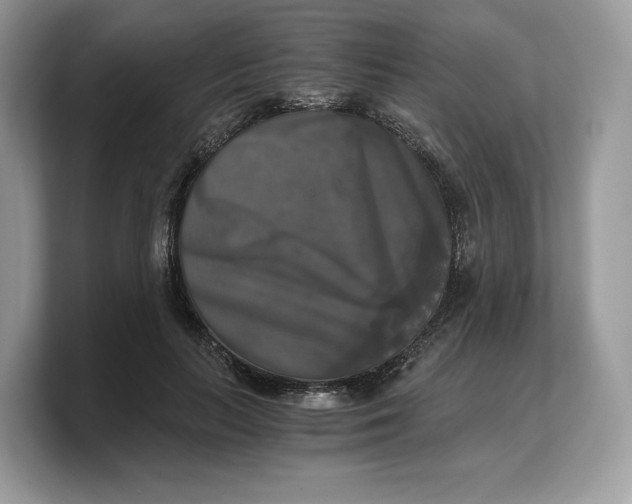 X0000103220647200809181504