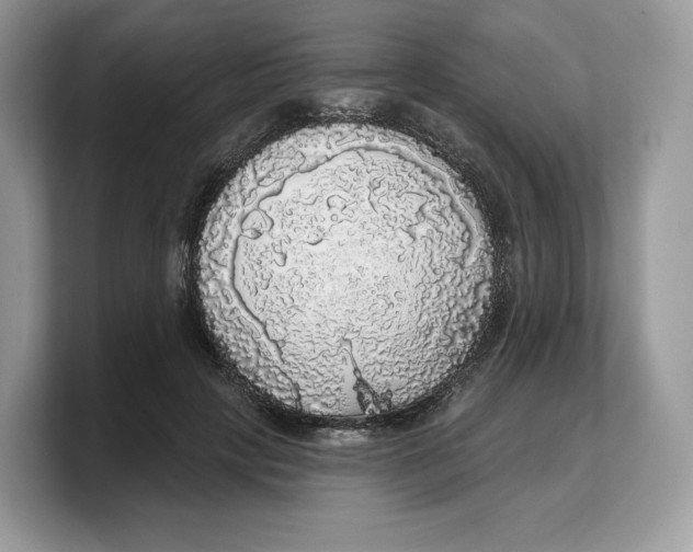 X0000103220649200809181504