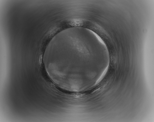 X0000103220652200809181504