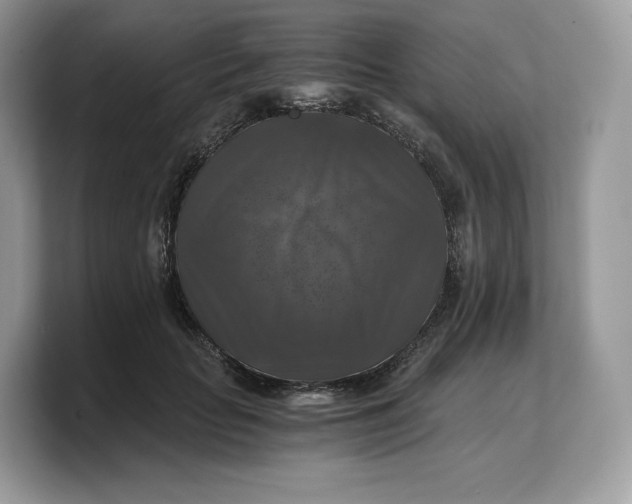 X0000103220653200809181504