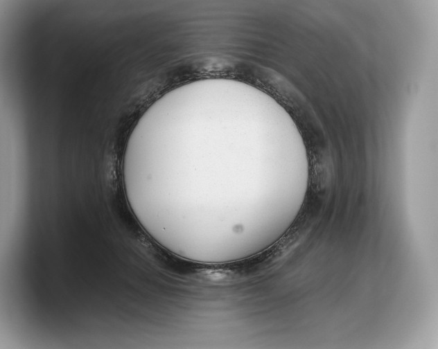 X0000103220654200809181504