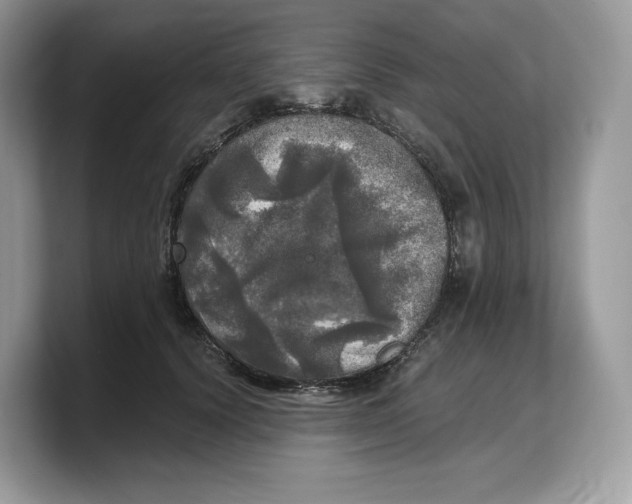 X0000103220656200809181504