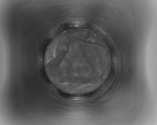 X0000103220657200809181504