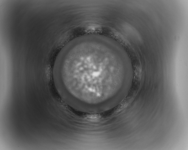 X0000103220659200809181504