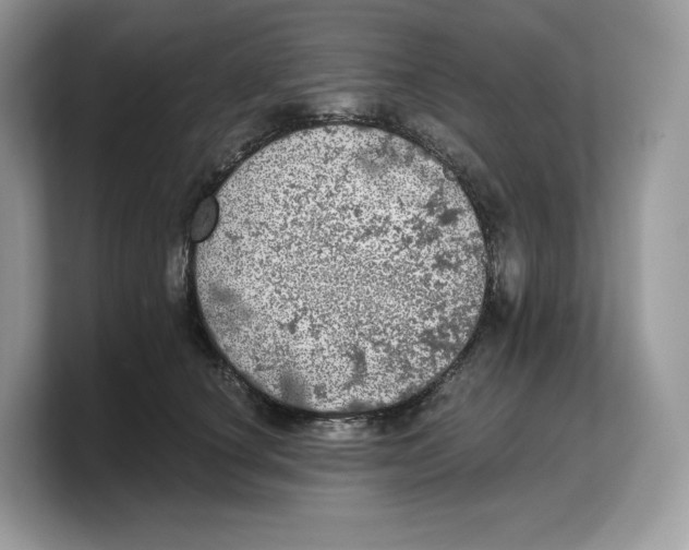 X0000103220660200809181504