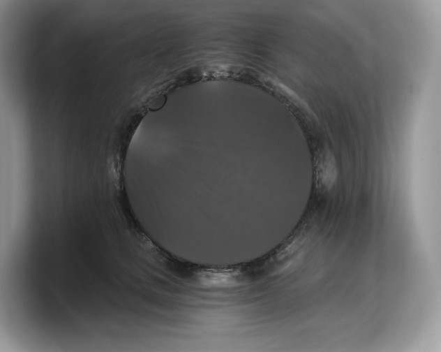 X0000103220661200809181505