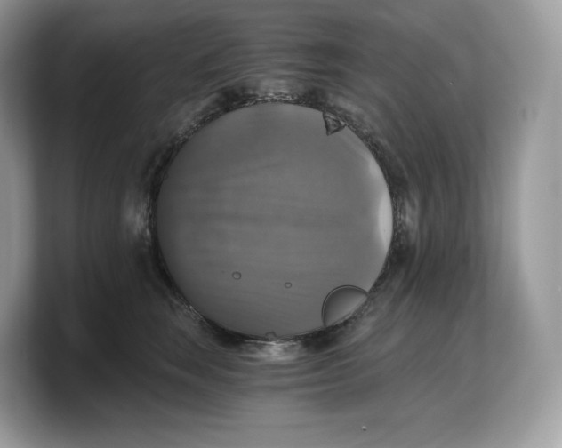 X0000103220663200809181505