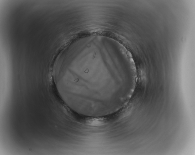 X0000103220664200809181505