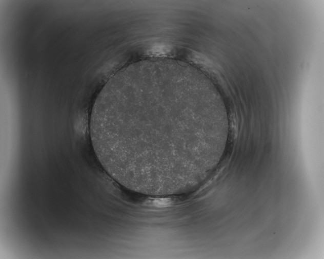 X0000103220665200809181505