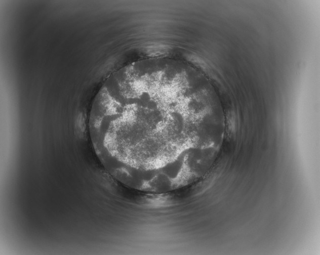 X0000103220667200809181505