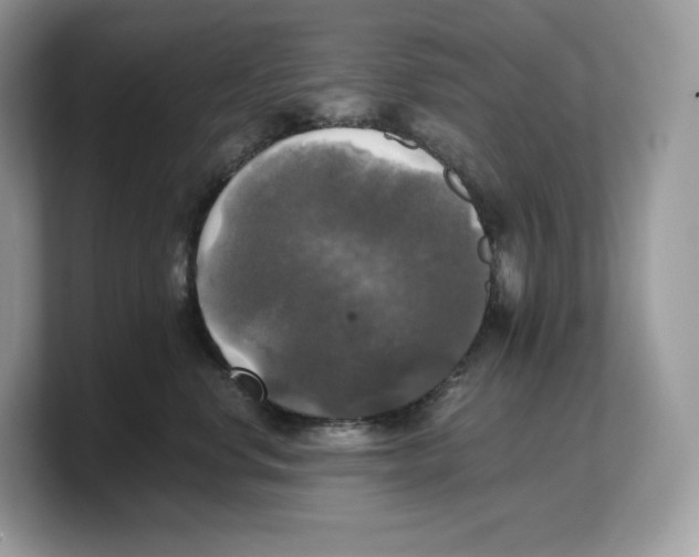 X0000103220668200809181505