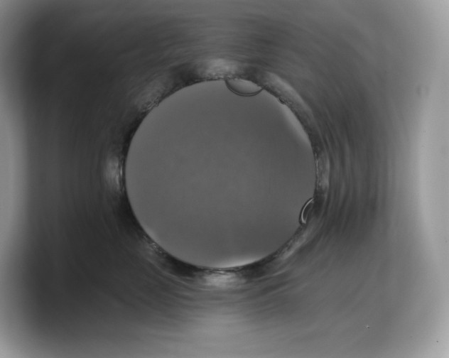 X0000103220669200809181505