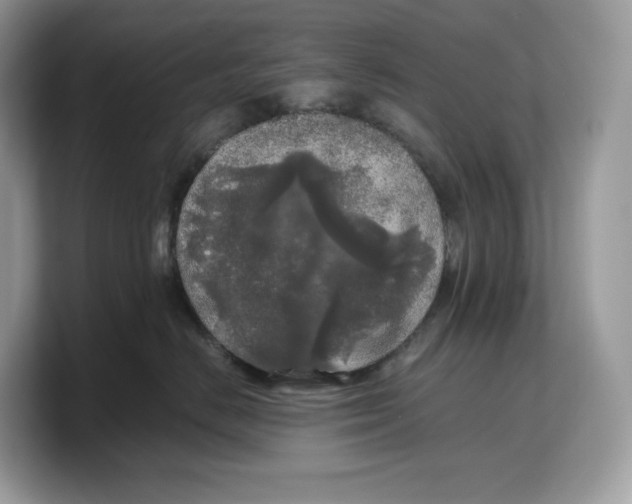 X0000103220670200809181505