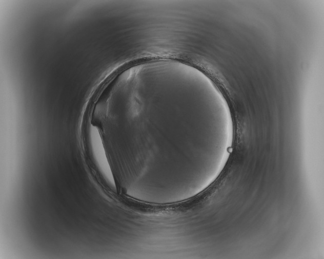 X0000103220674200809181504