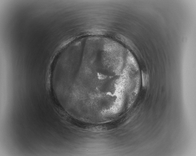 X0000103220675200809181504