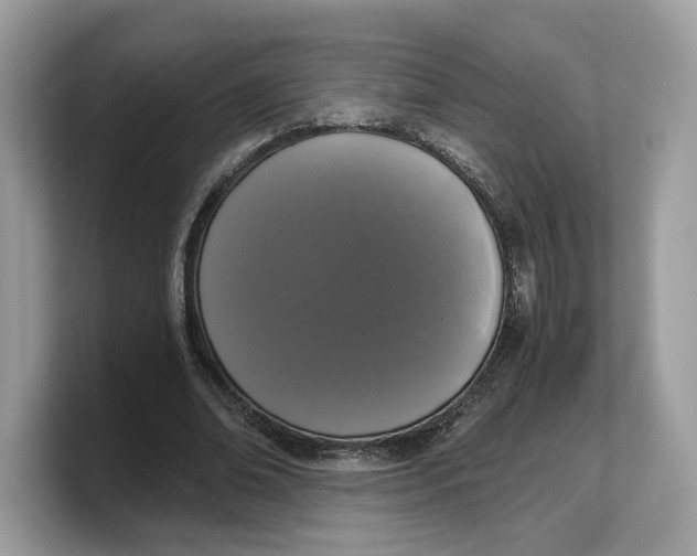 X0000103220678200809181504