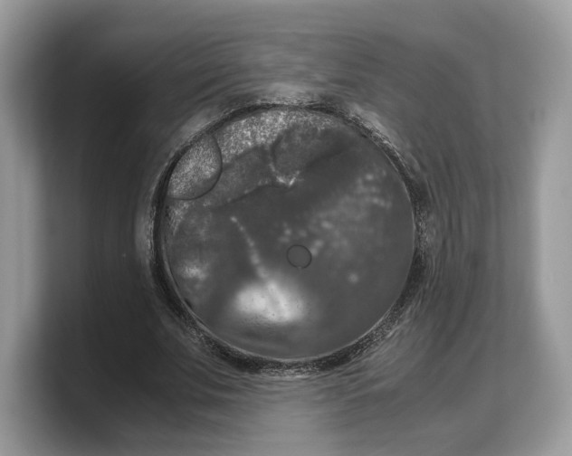 X0000103220679200809181504