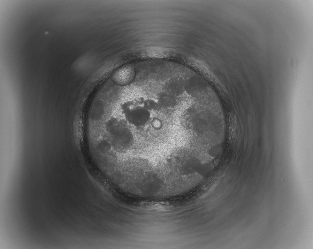 X0000103220683200809181504