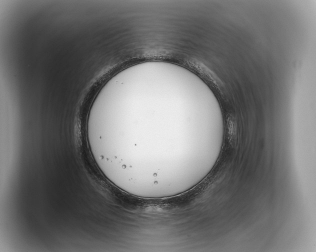 X0000103220684200809181504