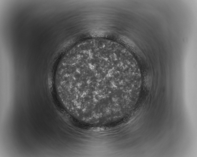 X0000103220687200809181504