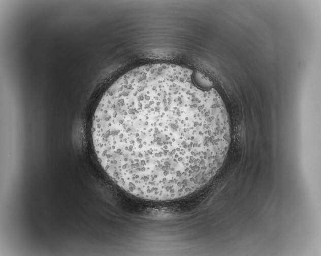 X0000103220688200809181504